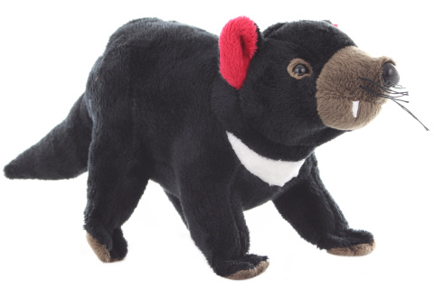 Ply� Tasm�nsk� �ert