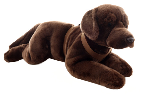 Ply� Labrador hn�d� 60 cm Eco-Friendly