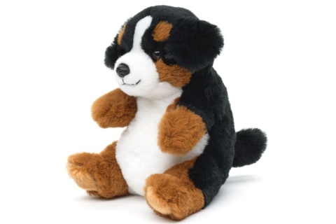Ply� Bernsk� sala�nick� pes 17 cm ECO-FRIENDLY