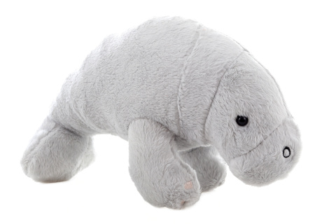 Ply� Kapust��k 22 cm