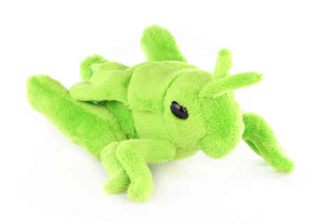 Ply� Lu�n� kobylka